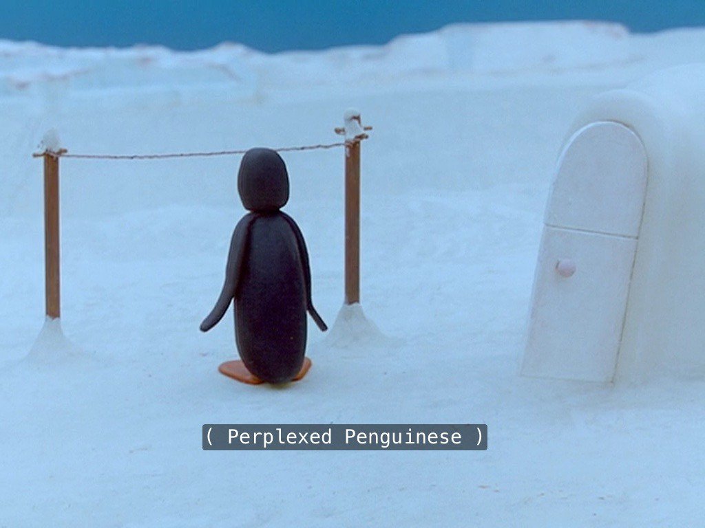 pingu is perplexed